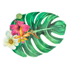 Placemats Paper Tropical Jungle
